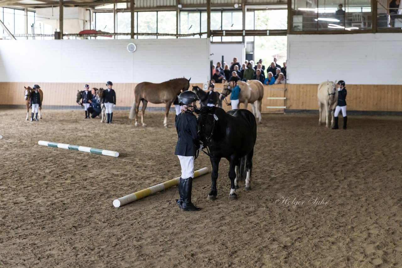 Bild 62 - Pony Akademie Turnier